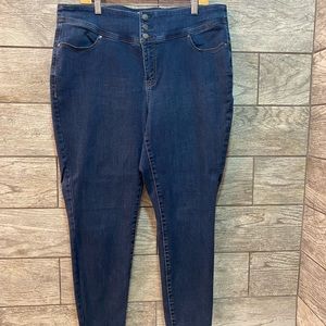 Lane Bryant Flex Magic Waistband Jeggings